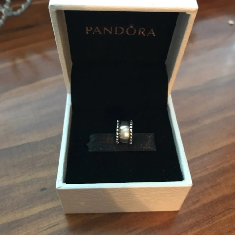 Pandora charm